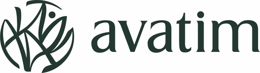 Avatim
