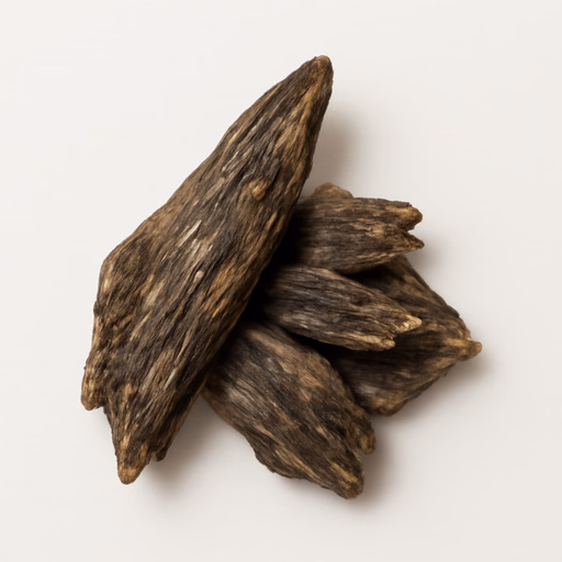 Laotian Oud