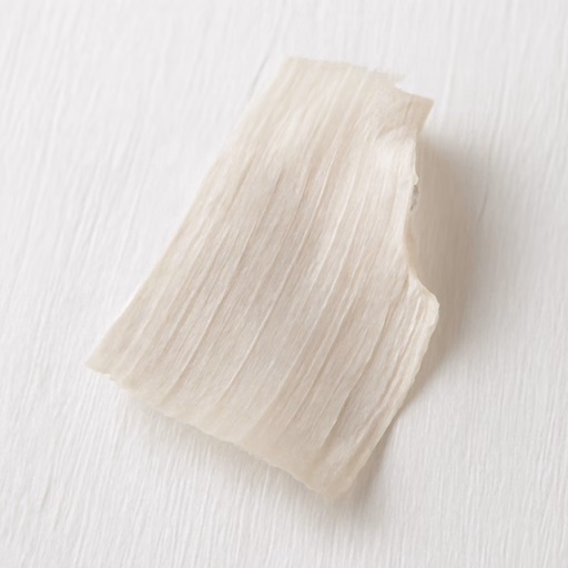 Transparent Woods