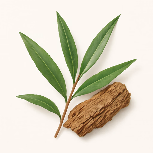 Tea Tree Oil