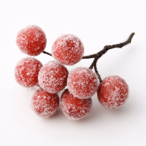 Frosted Berries