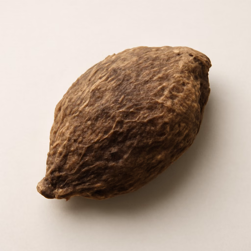Castoreum