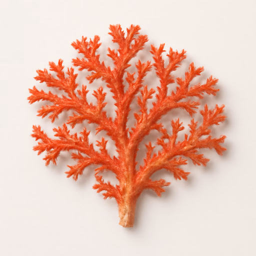 Coral Reef