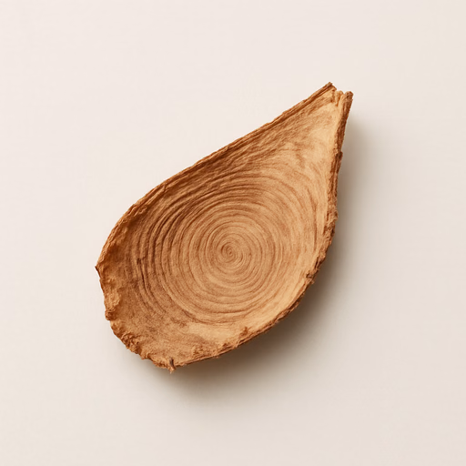 Boisiris