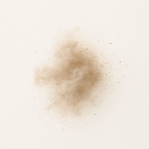Dust