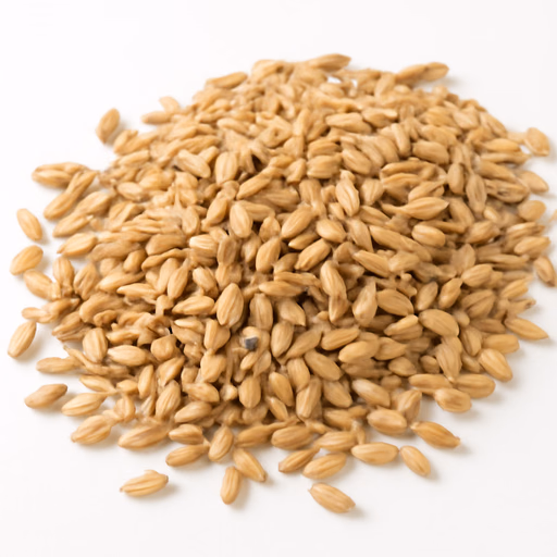 Malt