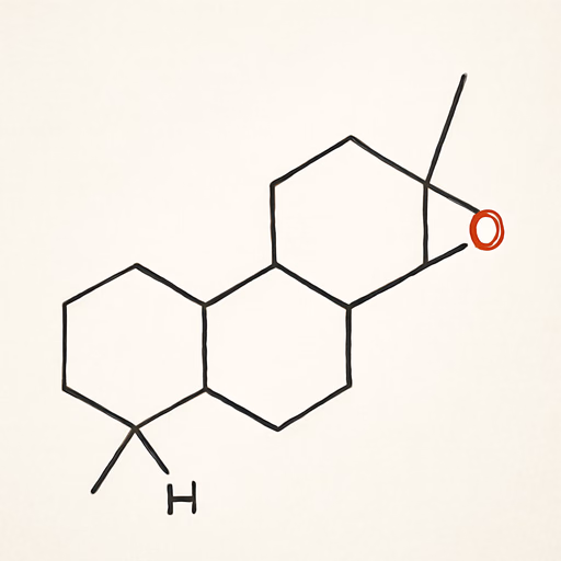 Z-11 HD