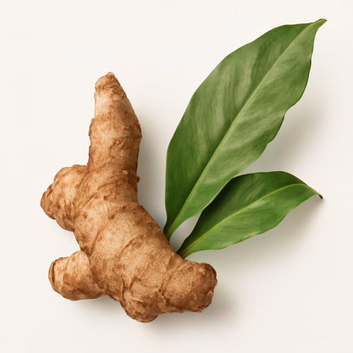 Costus