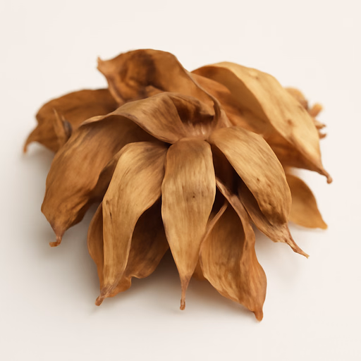 Honeybush or Cyclopia