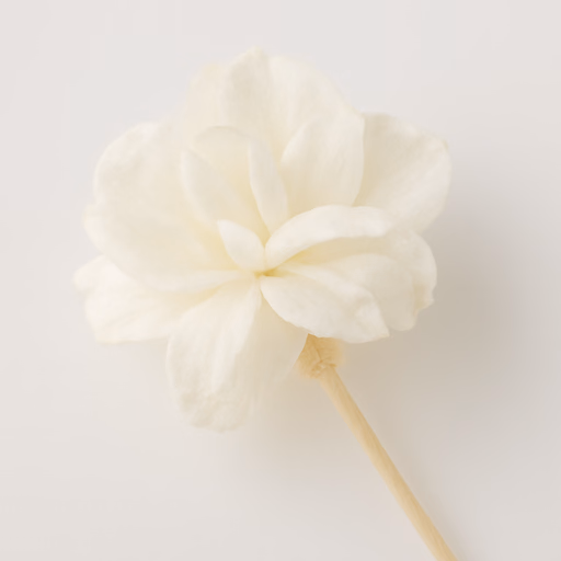 Litchi Blossom