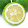 Sudachi citrus