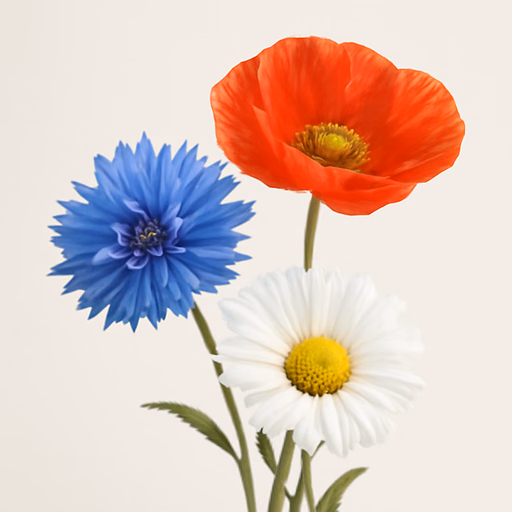 Wildflowers