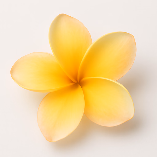 Frangipani