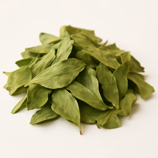 Buchu or Agathosma