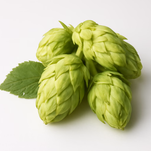 Hops