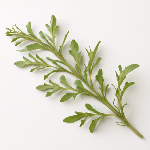 Horseweed