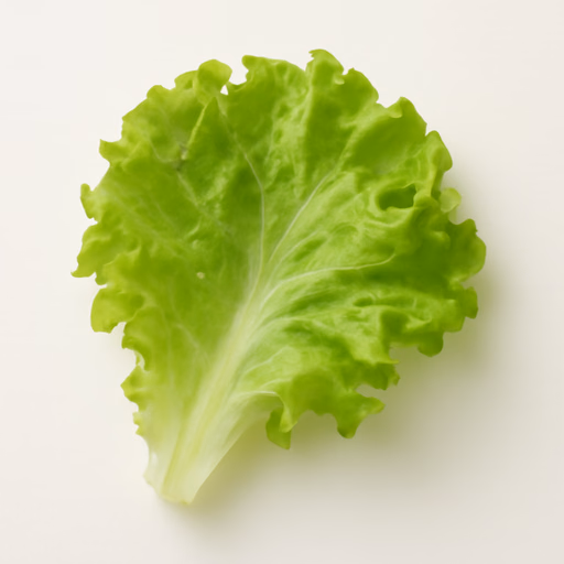 Lettuce