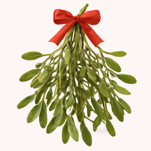 Mistletoe