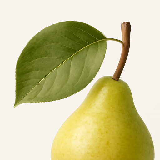 Pear Leaf