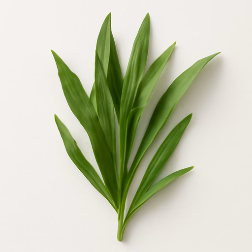 Tarragon