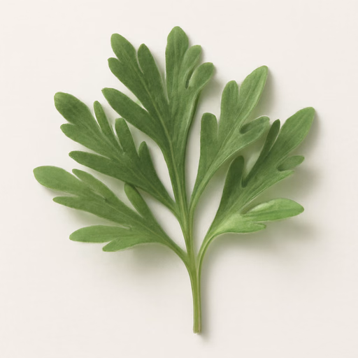 Wormwood
