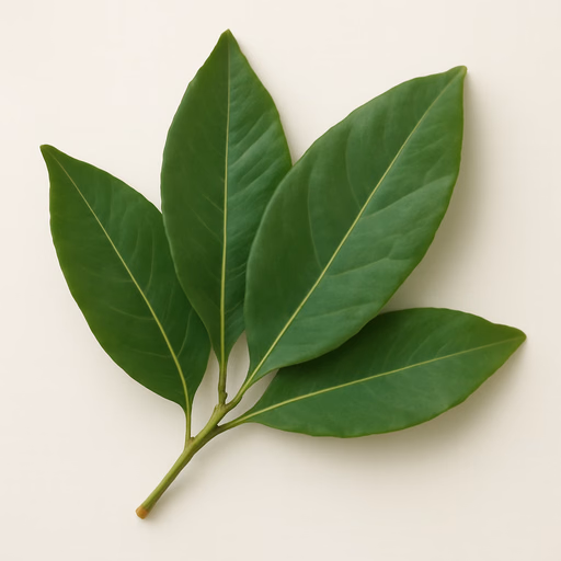 Bay Leaf